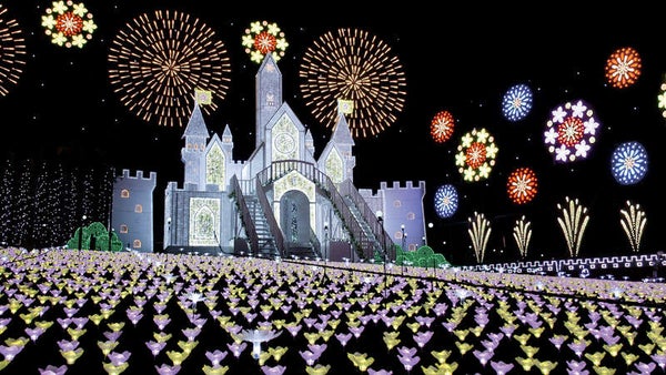 【東京都内発※町田を除く】 日本が世界に誇る”500万球の光と花の芸術” あしかがフラワーパークイルミネーション&相田みつをも愛した蕎麦屋「めん割烹なか川」で昼食 日帰り1